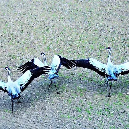 Marina - 80 Metrow Luksusu Z Widokiem Na Jezioro * Оструда